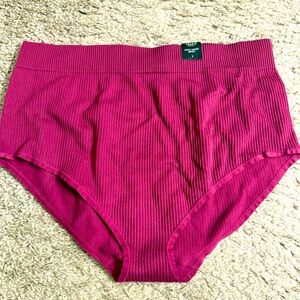 Torrid Pink Valentine Seamless Ribbed High-Rise Brief Panty Underwear - size 1